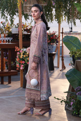 Gulaal | Delia Lawn 26 | Ayla