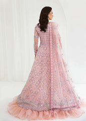 Dastoor | Nora Festive Festive 23 | Daneen