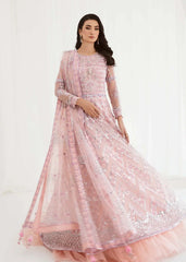 Dastoor | Nora Festive Festive 23 | Daneen