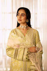 Zarposh | Sajni Lawn 25 | Gulnaz