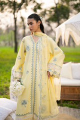 Xenia Formals | Sun Seeking | ARVYN