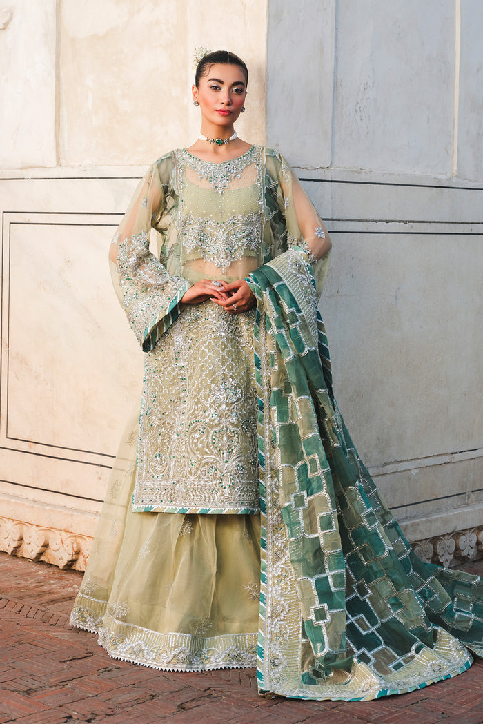 Raeesa Premium | Zauj Formals | AAK - 06