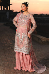 Raeesa Premium | Zauj Formals 25 | AAK - 03