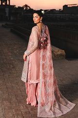 Raeesa Premium | Zauj Formals 25 | AAK - 03