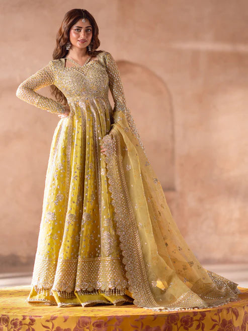 Bin Ilyas | Sona Gachi Luxury Formals | D-606