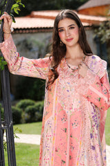 Rangrasiya | Lifestyle Summer 26 | Daisy