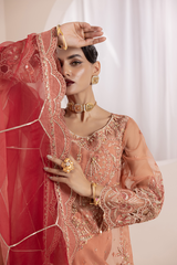 Diara Couture | Aaraish Formals |  NOSHEEN - US-645