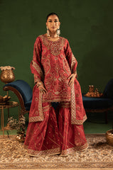 Diara Couture | Tabeer Wedding Formals | AILA