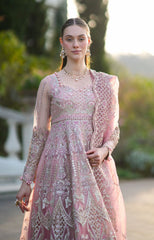 Inayat | Festive Formals | ELVA