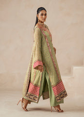 Fressia Premium | Premium Chiffon | FSU5616