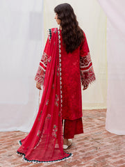 Mahnur | Gulzar Winter 25 | G - 03