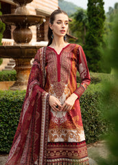 Gulaal | Springtime Ballet | AMARYLLIS (GL-L-24V1-09)