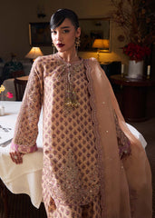 Hussain Rehar | SS Luxury Pret 25 | Fran