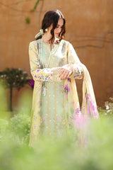 Rangrasiya | Lifestyle Summer 26 | Hazel
