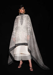 Hussain Rehar | Basic Not Basic |  lily