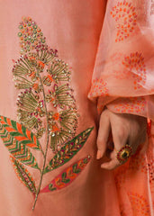 Hussain Rehar | Basic Not Basic |  Blush