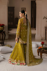 Afrozeh | SHEHNAI WEDDING FORMALS '26 | ZARMINAY