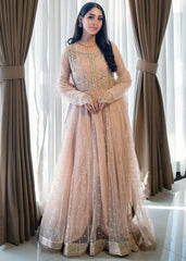 Rang-e-Haya | 3 piece Wedding Formal | Amouria Embellished