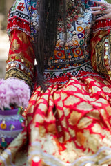 Zarish Studios | Wedding Formal Dress | The Crimson Sun