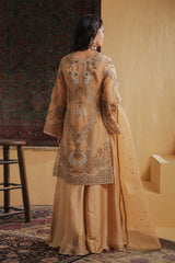 Shamaeel Ansari | Majestic Legacy | Amber Elixir