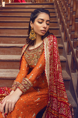 Sana Abbas | Wedding Formals | INSHA