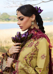 Hussain Rehar | Luxury Lawn 25 | Minted