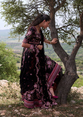 Hussain Rehar | Jinan 26 | Kashmala