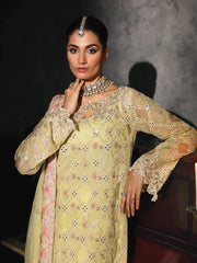 Rajbari | Sage Chiffon Edit | Ivy