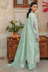 Rajbari | Amali Festive Lawn | 4-B