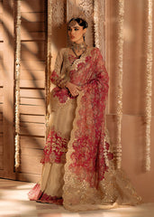Fozia Khalid | Chamakh Dhamakh Wedding Festivity | Roka