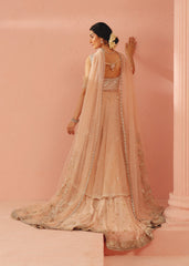 Mahgul | Kohinoor Bagh | Risha