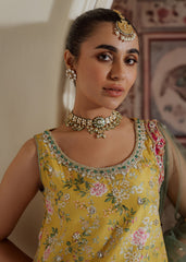Mahgul | Portraits of Anaya | Marigold