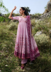 Hussain Rehar | Jinan 26 | Marjan