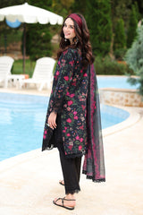 Rangrasiya | Lifestyle Summer 26 | Midnight