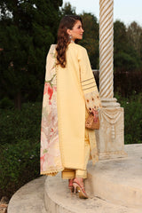 Rangrasiya | Florence Summer Edit 26 | Mirha