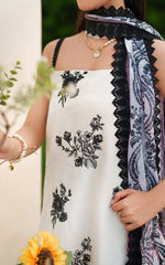 Asifa and Nabeel | Eden Cambric 25 | Pearl Whisper ECU25-04