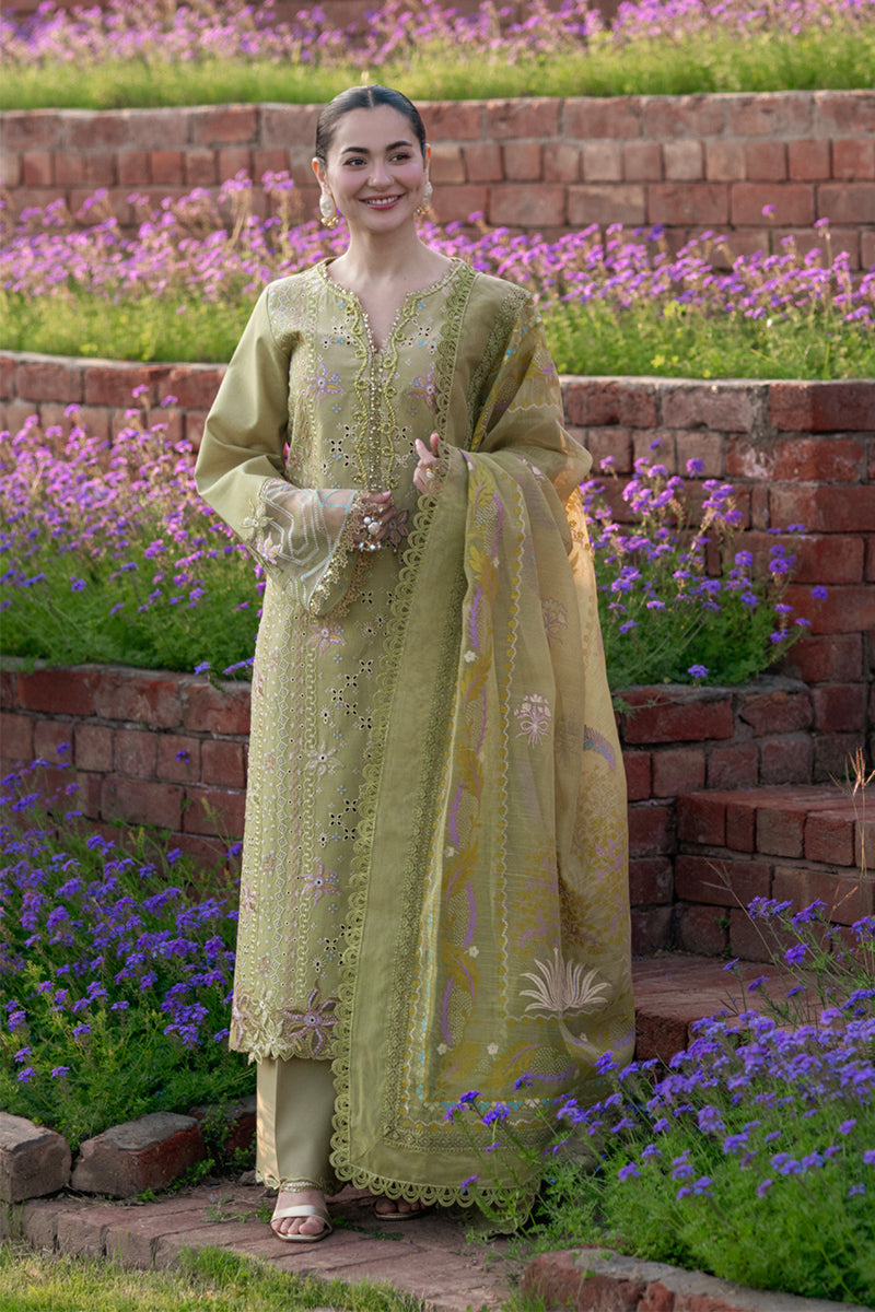 Rangrasiya | Luxury Eid Collection | RAHA