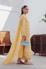 Qalamkar | Basic Pret 26 | QBP-06 CLARA