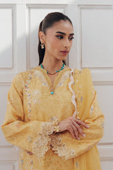 Qalamkar | Basic Pret 26 | QBP-06 CLARA