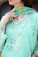 Rangrasiya | Lifestyle Summer 26 | Sage