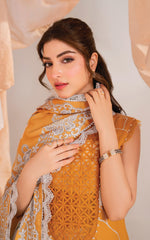 Asifa and Nabeel | Winter Meraki 24 | Solstice-MW-08