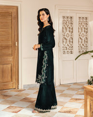 Ain | Winter Collection | AN-86