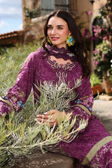 Rangrasiya | Lifestyle Summer 26 | Utopia