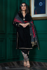 Wardha Saleem | Velvets Winter Fall 24 |   Parvaz
