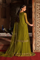 Naqshi | Kiraz Chiffon Collection | Anza