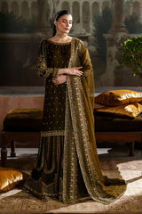 Naqshi | Nazleen Velvet | Danara