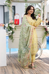 Rangrasiya | Florence Luxury Festive Edit 26 | Yumna