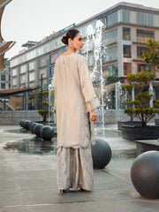 Ain | Raya Luxury Formals | AN-166 ZIRCON