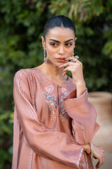 Wahaj M Khan | Pari Collection | Mocha Sheesha Pari Outfit