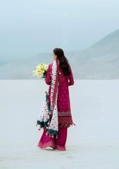 Rangrasiya | Lifestyle Summer Edit 25 | LOOK 09